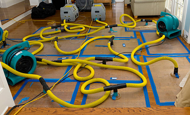 Professional Crawl Space Water Removal technician working in Jonesville, MI